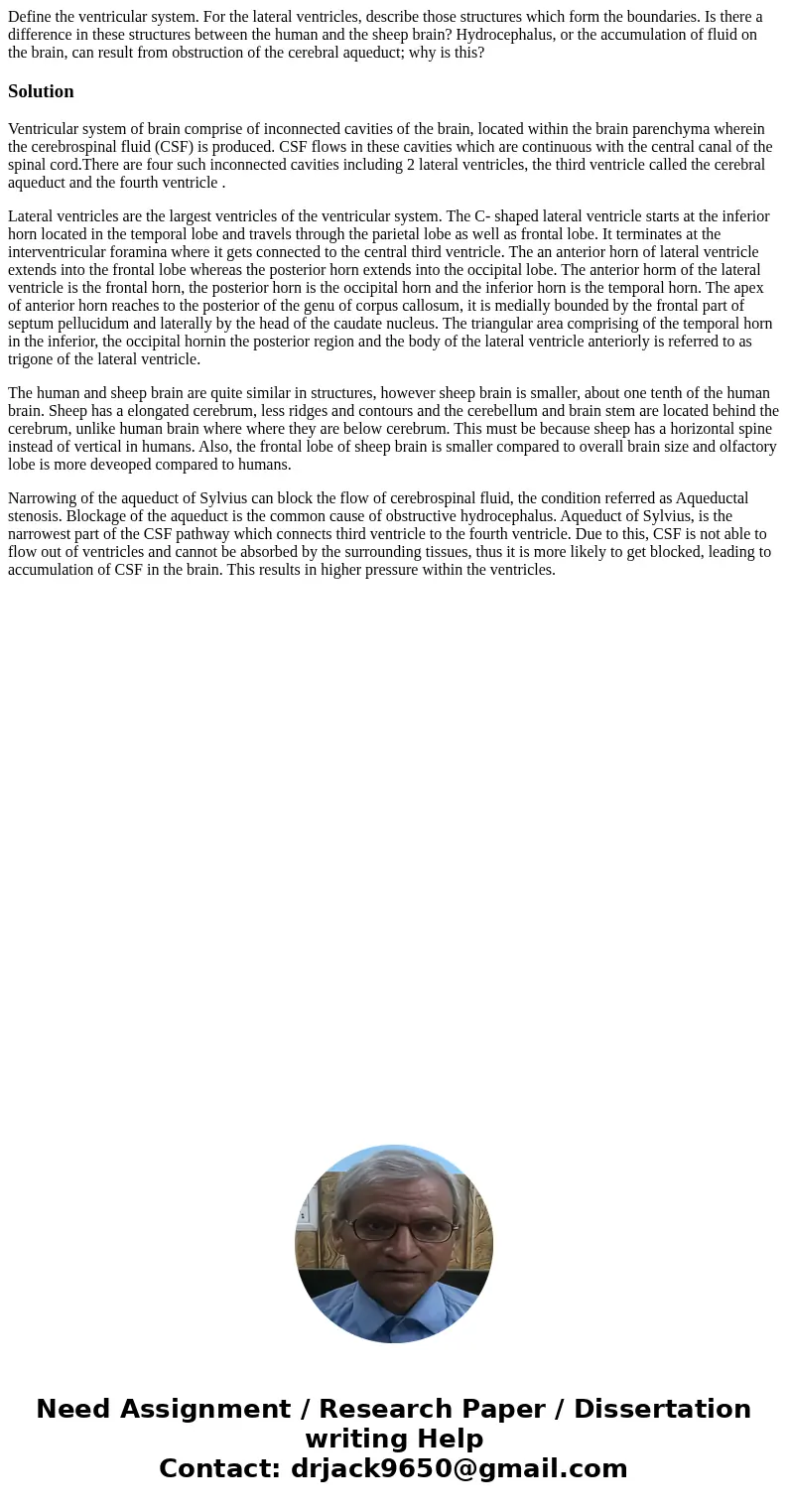 Define the ventricular system. For the lateral ventricles, describe those structures which form the boundaries. Is there a difference in these structures betwe  Define the ventricular system. For the lateral ventricles, describe those structures which form the boundaries. Is there a difference in these structures betwe