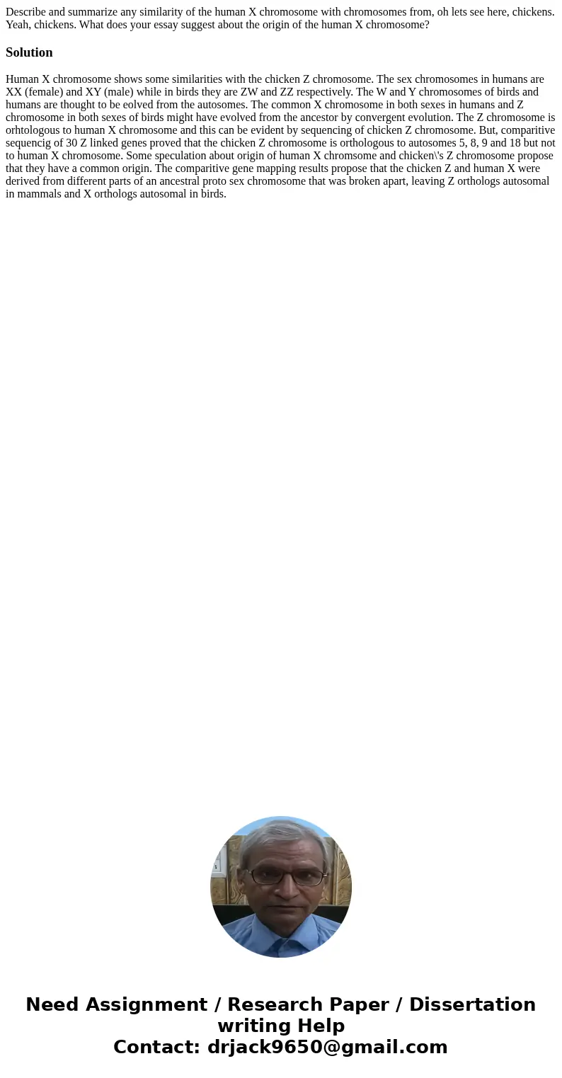 Describe and summarize any similarity of the human X chromosome with chromosomes from, oh lets see here, chickens. Yeah, chickens. What does your essay suggest  Describe and summarize any similarity of the human X chromosome with chromosomes from, oh lets see here, chickens. Yeah, chickens. What does your essay suggest