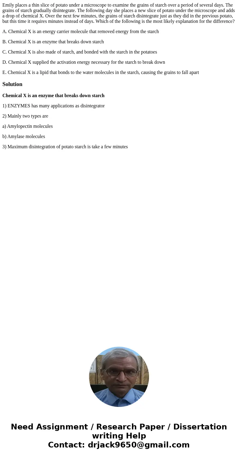 Emily places a thin slice of potato under a microscope to examine the grains of starch over a period of several days. The grains of starch gradually disintegrat Emily places a thin slice of potato under a microscope to examine the grains of starch over a period of several days. The grains of starch gradually disintegrat