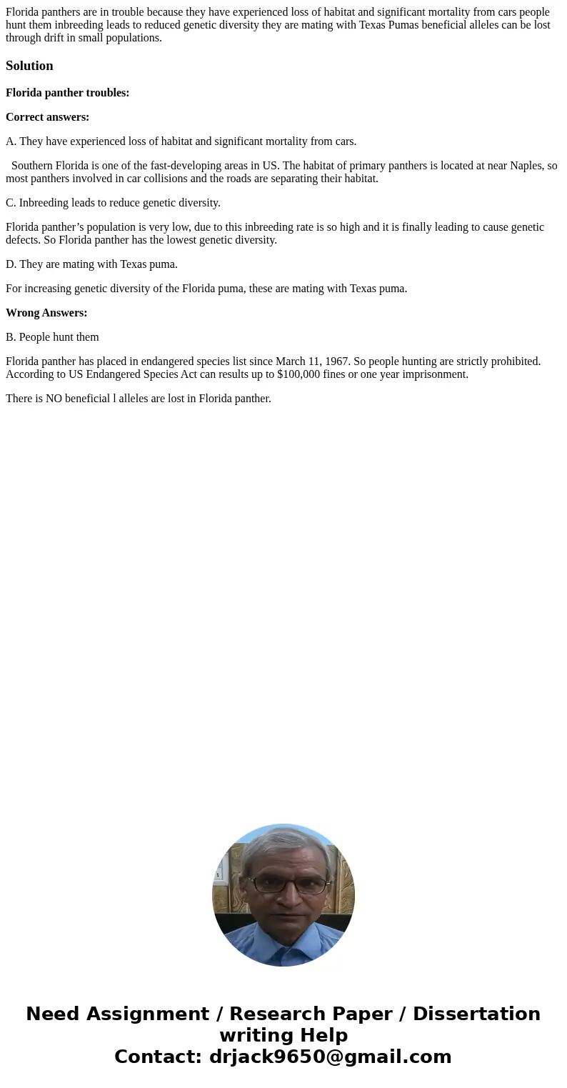 Florida panthers are in trouble because they have experienced loss of habitat and significant mortality from cars people hunt them inbreeding leads to reduced   Florida panthers are in trouble because they have experienced loss of habitat and significant mortality from cars people hunt them inbreeding leads to reduced