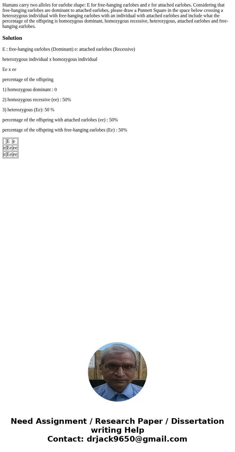 Humans carry two alleles for earlobe shape: E for free-hanging earlobes and e for attached earlobes. Considering that free-hanging earlobes are dominant to atta