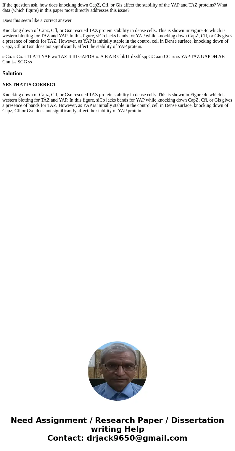 If the question ask, how does knocking down CapZ, Cfl, or Gls affect the stability of the YAP and TAZ proteins? What data (which figure) in this paper most dire If the question ask, how does knocking down CapZ, Cfl, or Gls affect the stability of the YAP and TAZ proteins? What data (which figure) in this paper most dire