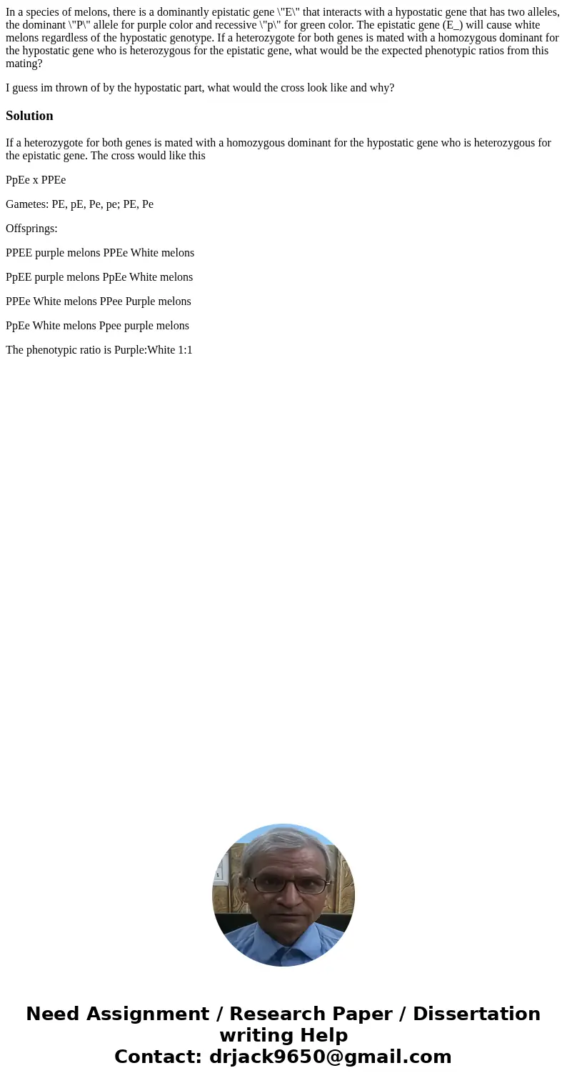 In a species of melons, there is a dominantly epistatic gene \ In a species of melons, there is a dominantly epistatic gene \