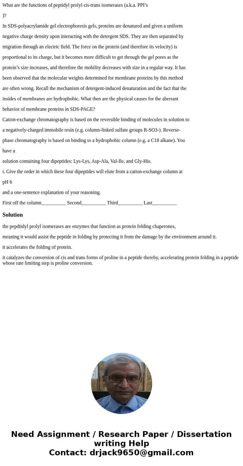 What are the functions of peptidyl prolyl cis-trans isomerases (a.k.a. PPI’s )? In SDS-polyacrylamide gel electrophoresis gels, proteins are denatured and given What are the functions of peptidyl prolyl cis-trans isomerases (a.k.a. PPI’s )? In SDS-polyacrylamide gel electrophoresis gels, proteins are denatured and given