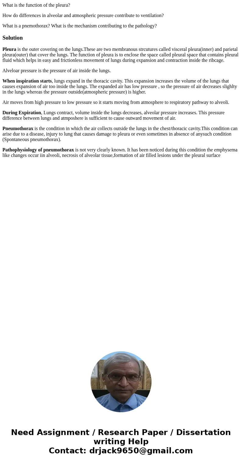 What is the function of the pleura? How do differences in alveolar and atmospheric pressure contribute to ventilation? What is a pnemothorax? What is the mechan What is the function of the pleura? How do differences in alveolar and atmospheric pressure contribute to ventilation? What is a pnemothorax? What is the mechan