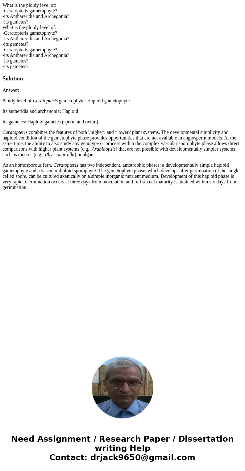 What is the ploidy level of: -Ceratopteris gametophyte? -its Anthareridia and Archegonia? -its gametes? What is the ploidy level of: -Ceratopteris gametophyte?  What is the ploidy level of: -Ceratopteris gametophyte? -its Anthareridia and Archegonia? -its gametes? What is the ploidy level of: -Ceratopteris gametophyte?