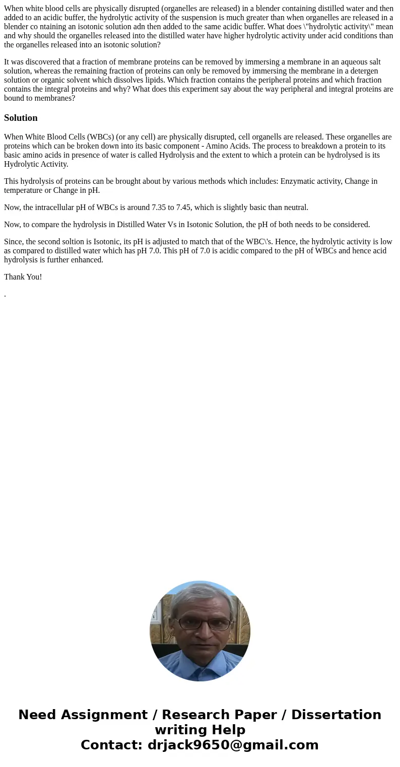 When white blood cells are physically disrupted (organelles are released) in a blender containing distilled water and then added to an acidic buffer, the hydrol When white blood cells are physically disrupted (organelles are released) in a blender containing distilled water and then added to an acidic buffer, the hydrol