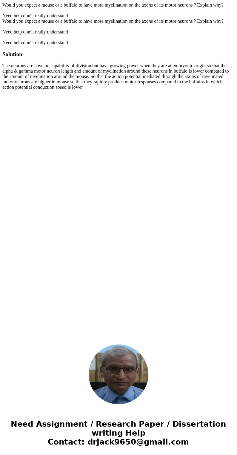 Would you expect a mouse or a buffalo to have more myelination on the axons of its motor neurons ? Explain why? Need help don\'t really understand Would you ex  Would you expect a mouse or a buffalo to have more myelination on the axons of its motor neurons ? Explain why? Need help don\'t really understand Would you ex