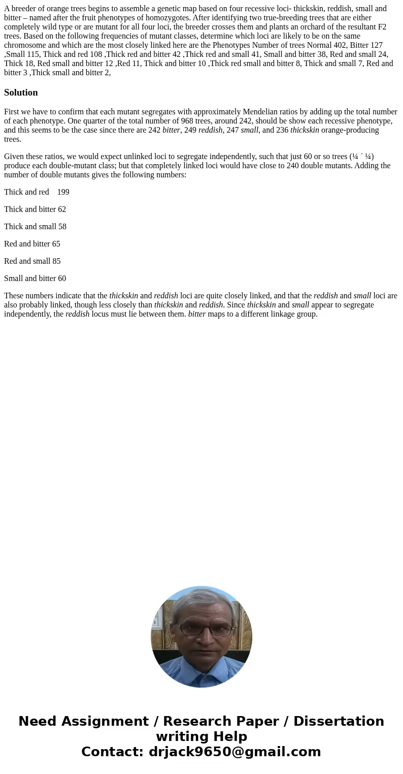 A breeder of orange trees begins to assemble a genetic map based on four recessive loci- thickskin, reddish, small and bitter – named after the fruit phenotypes