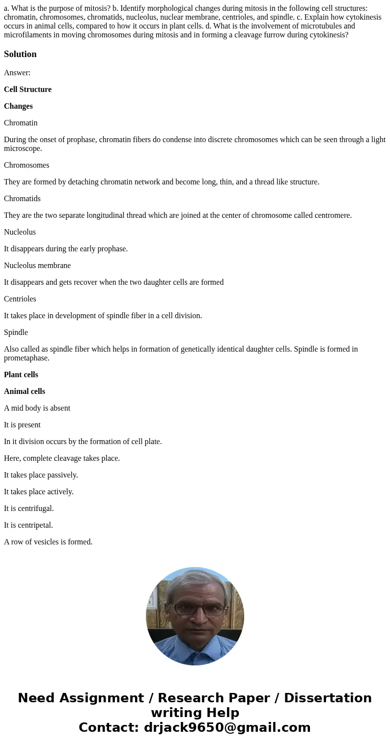 a. What is the purpose of mitosis? b. Identify morphological changes during mitosis in the following cell structures: chromatin, chromosomes, chromatids, nucleo