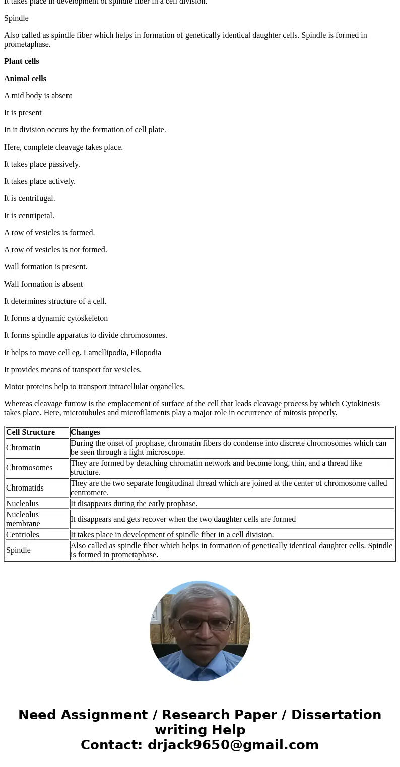 a. What is the purpose of mitosis? b. Identify morphological changes during mitosis in the following cell structures: chromatin, chromosomes, chromatids, nucleo