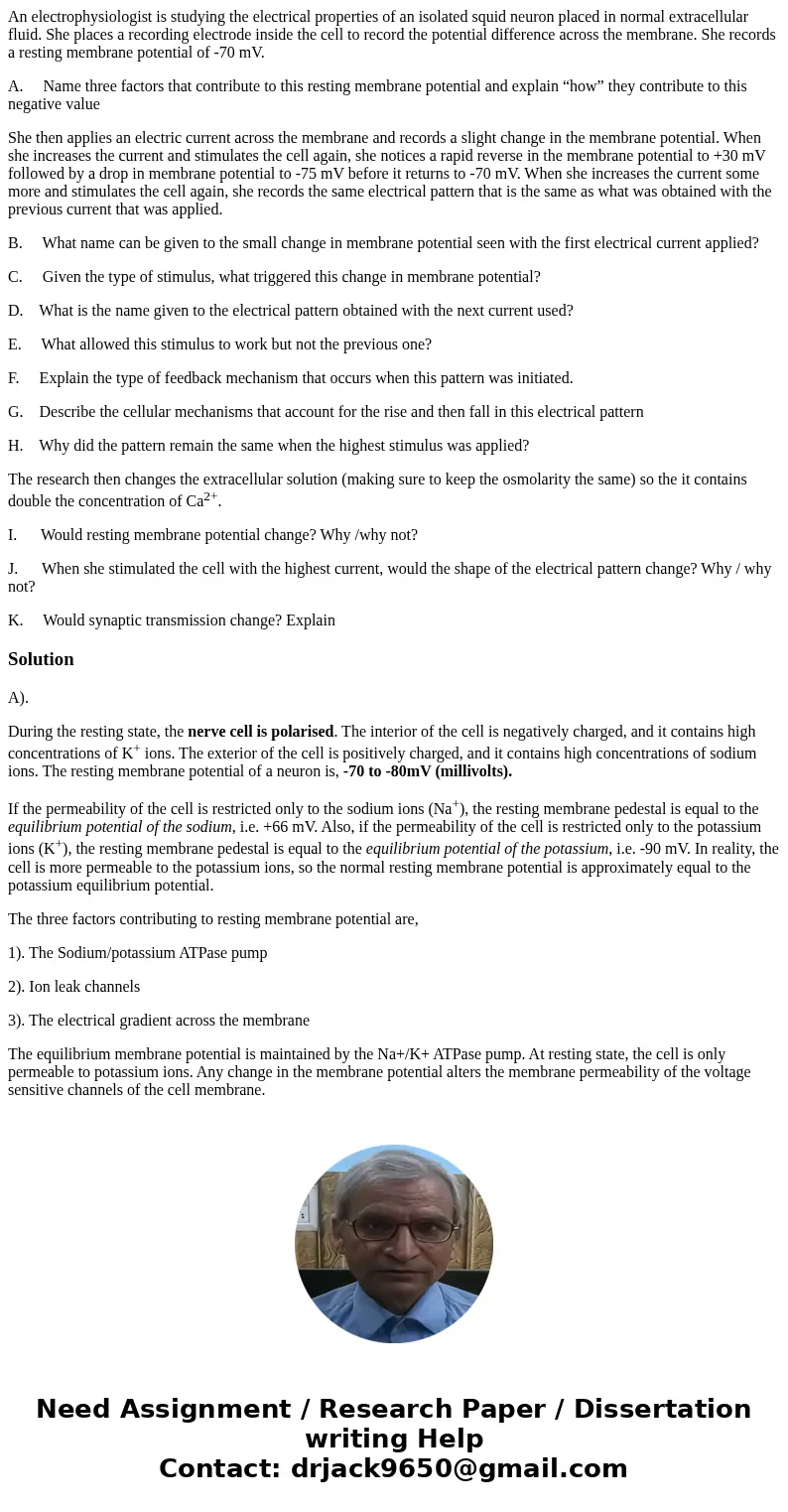 An electrophysiologist is studying the electrical properties of an isolated squid neuron placed in normal extracellular fluid. She places a recording electrode 