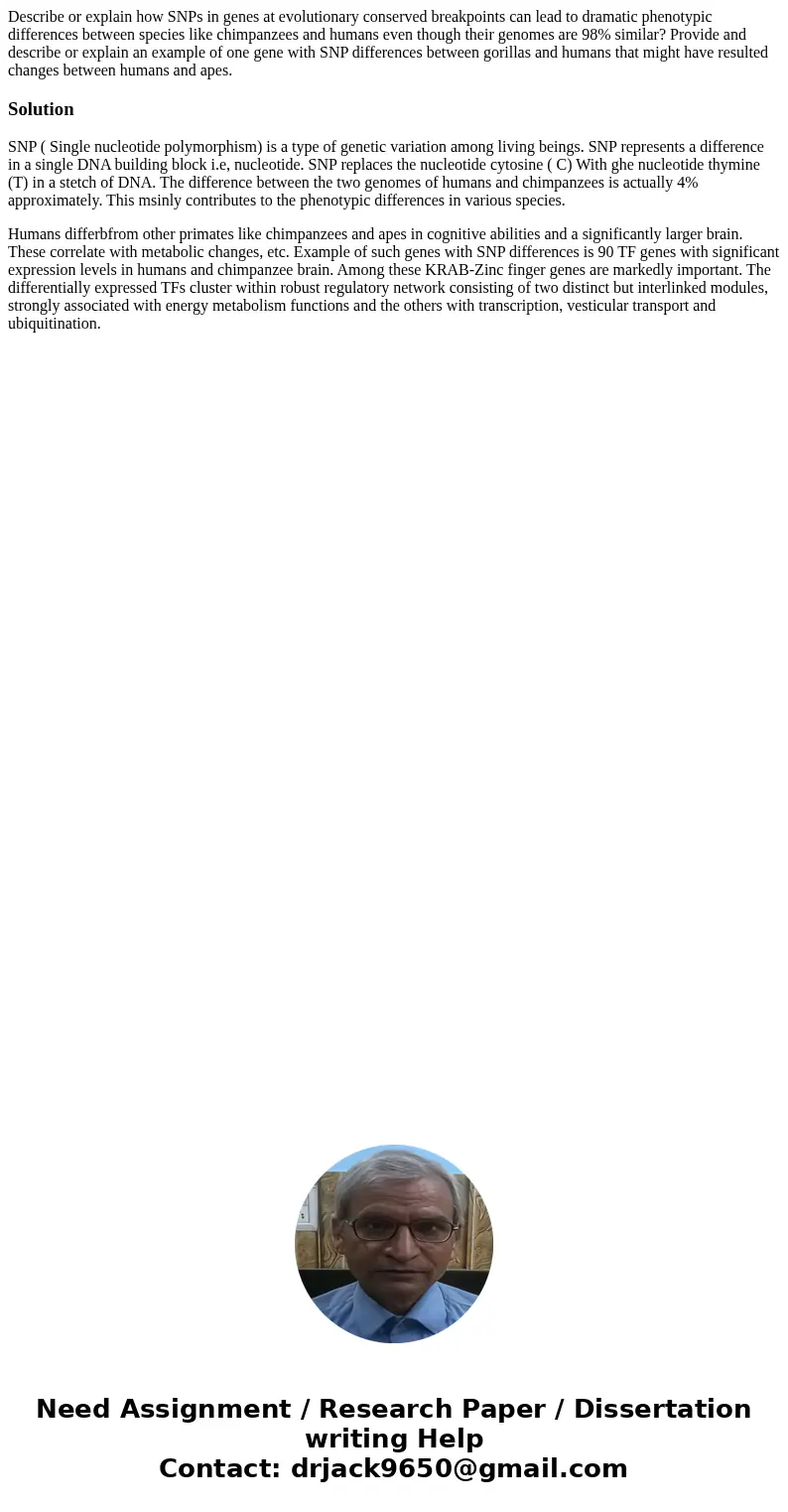 Describe or explain how SNPs in genes at evolutionary conserved breakpoints can lead to dramatic phenotypic differences between species like chimpanzees and hum Describe or explain how SNPs in genes at evolutionary conserved breakpoints can lead to dramatic phenotypic differences between species like chimpanzees and hum