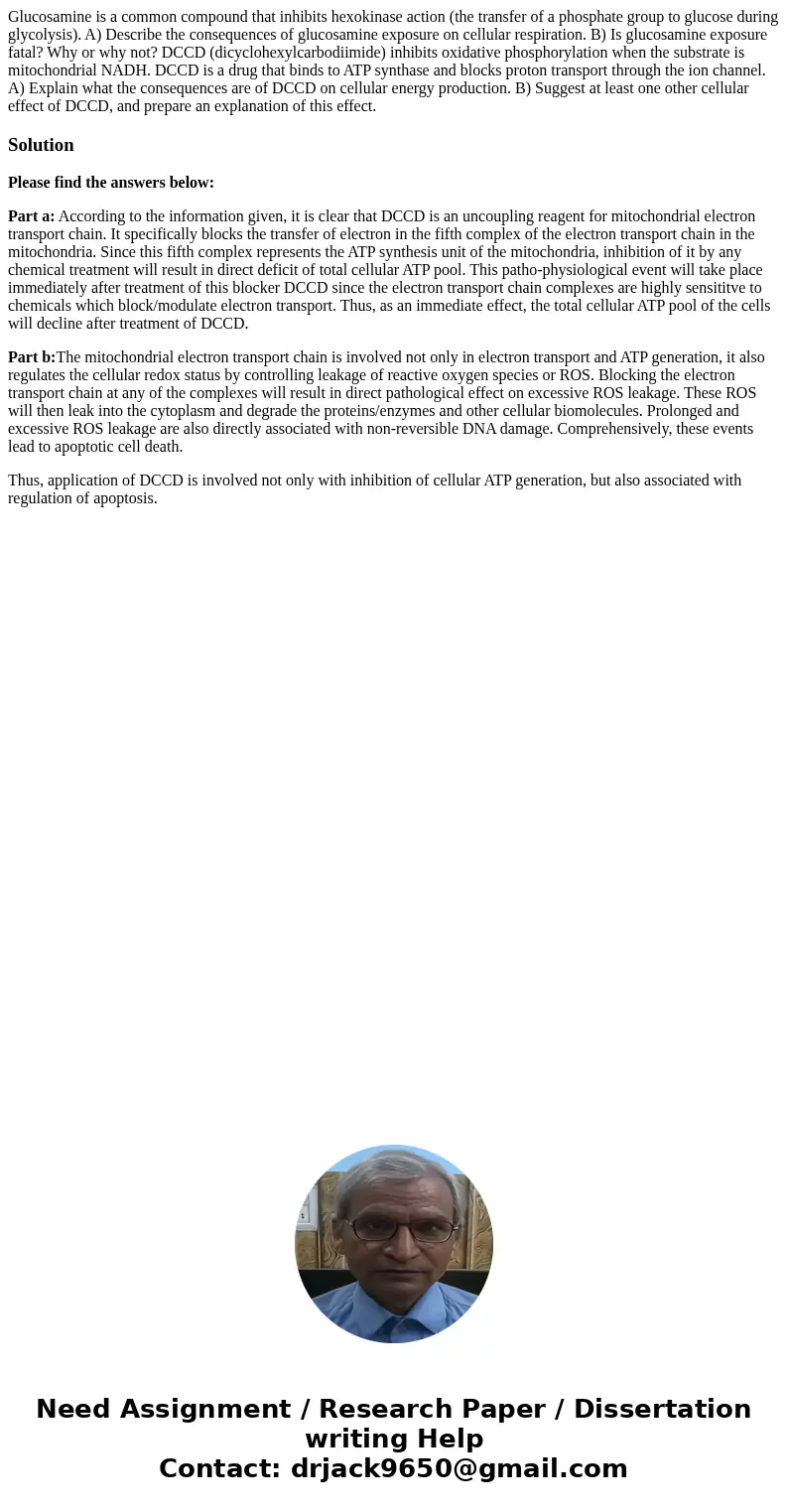  Glucosamine is a common compound that inhibits hexokinase action (the transfer of a phosphate group to glucose during glycolysis). A) Describe the consequences
