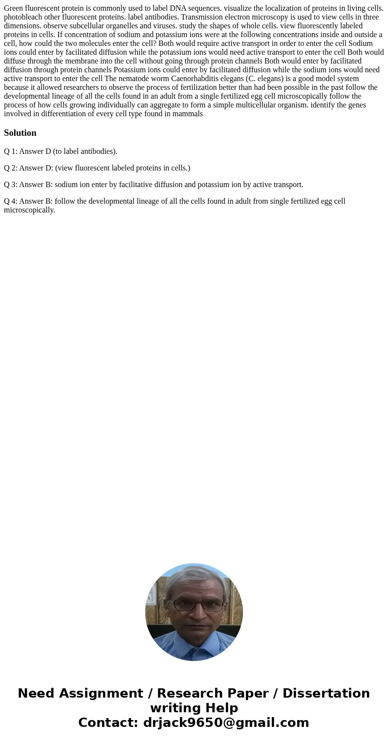 Green fluorescent protein is commonly used to label DNA sequences. visualize the localization of proteins in living cells. photobleach other fluorescent protei  Green fluorescent protein is commonly used to label DNA sequences. visualize the localization of proteins in living cells. photobleach other fluorescent protei