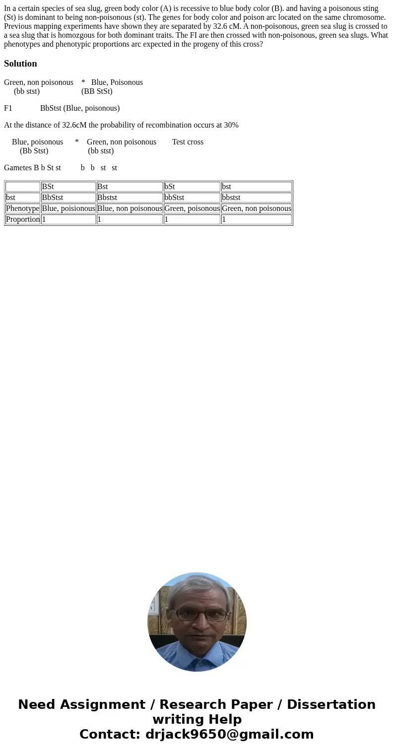  In a certain species of sea slug, green body color (A) is recessive to blue body color (B). and having a poisonous sting (St) is dominant to being non-poisonou