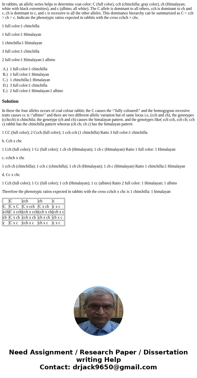 In rabbits, an allelic series helps to determine coat color: C (full color), cch (chinchilla; gray color), ch (Himalayan; white with black extremities), and c (