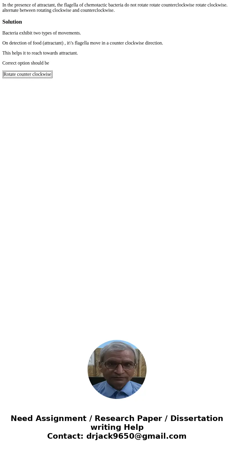In the presence of attractant, the flagella of chemotactic bacteria do not rotate rotate counterclockwise rotate clockwise. alternate between rotating clockwis  In the presence of attractant, the flagella of chemotactic bacteria do not rotate rotate counterclockwise rotate clockwise. alternate between rotating clockwis