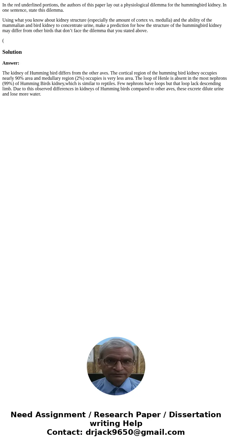 In the red underlined portions, the authors of this paper lay out a physiological dilemma for the hummingbird kidney. In one sentence, state this dilemma. Using