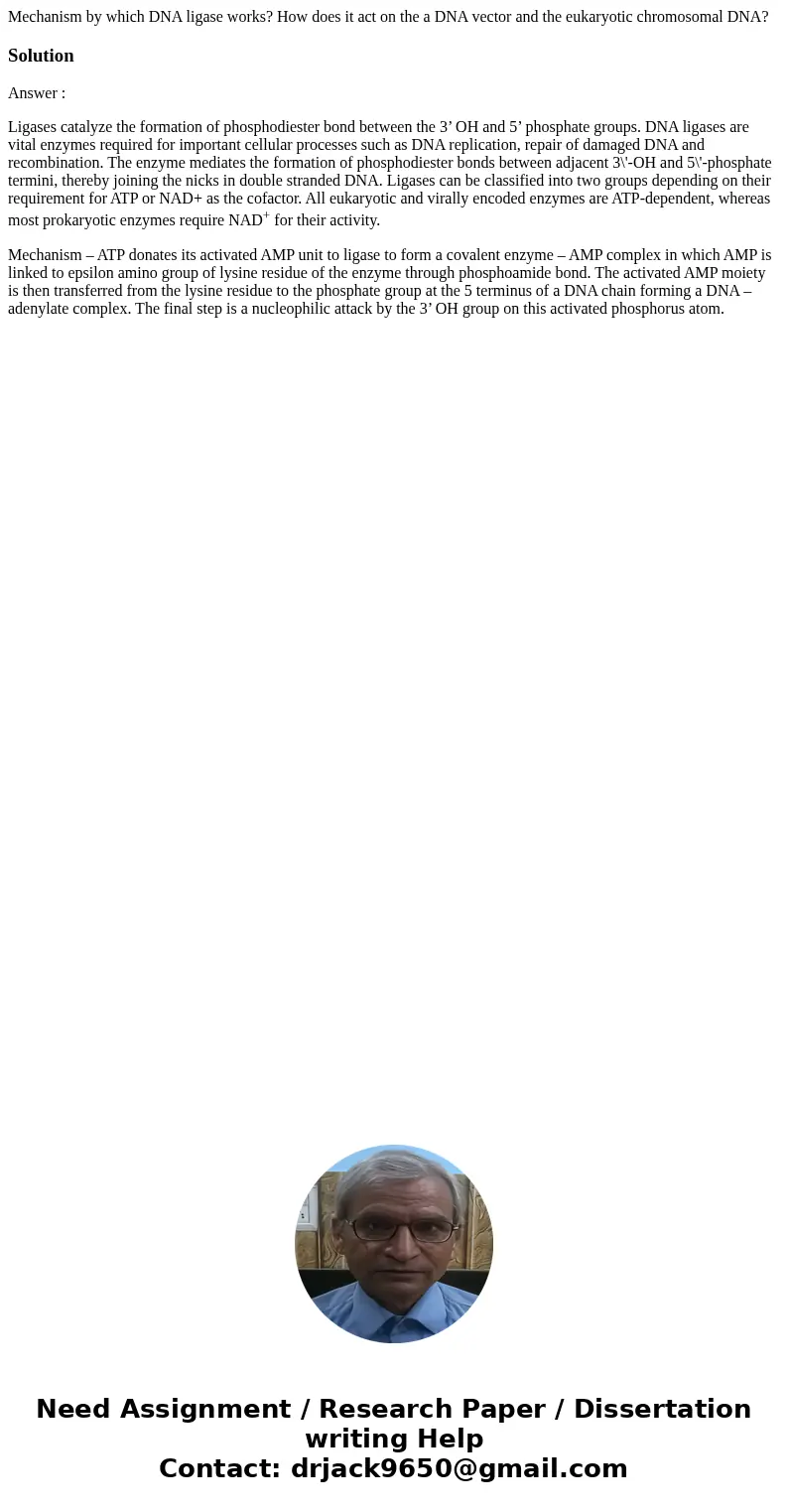 Mechanism by which DNA ligase works? How does it act on the a DNA vector and the eukaryotic chromosomal DNA?SolutionAnswer : Ligases catalyze the formation of p Mechanism by which DNA ligase works? How does it act on the a DNA vector and the eukaryotic chromosomal DNA?SolutionAnswer : Ligases catalyze the formation of p
