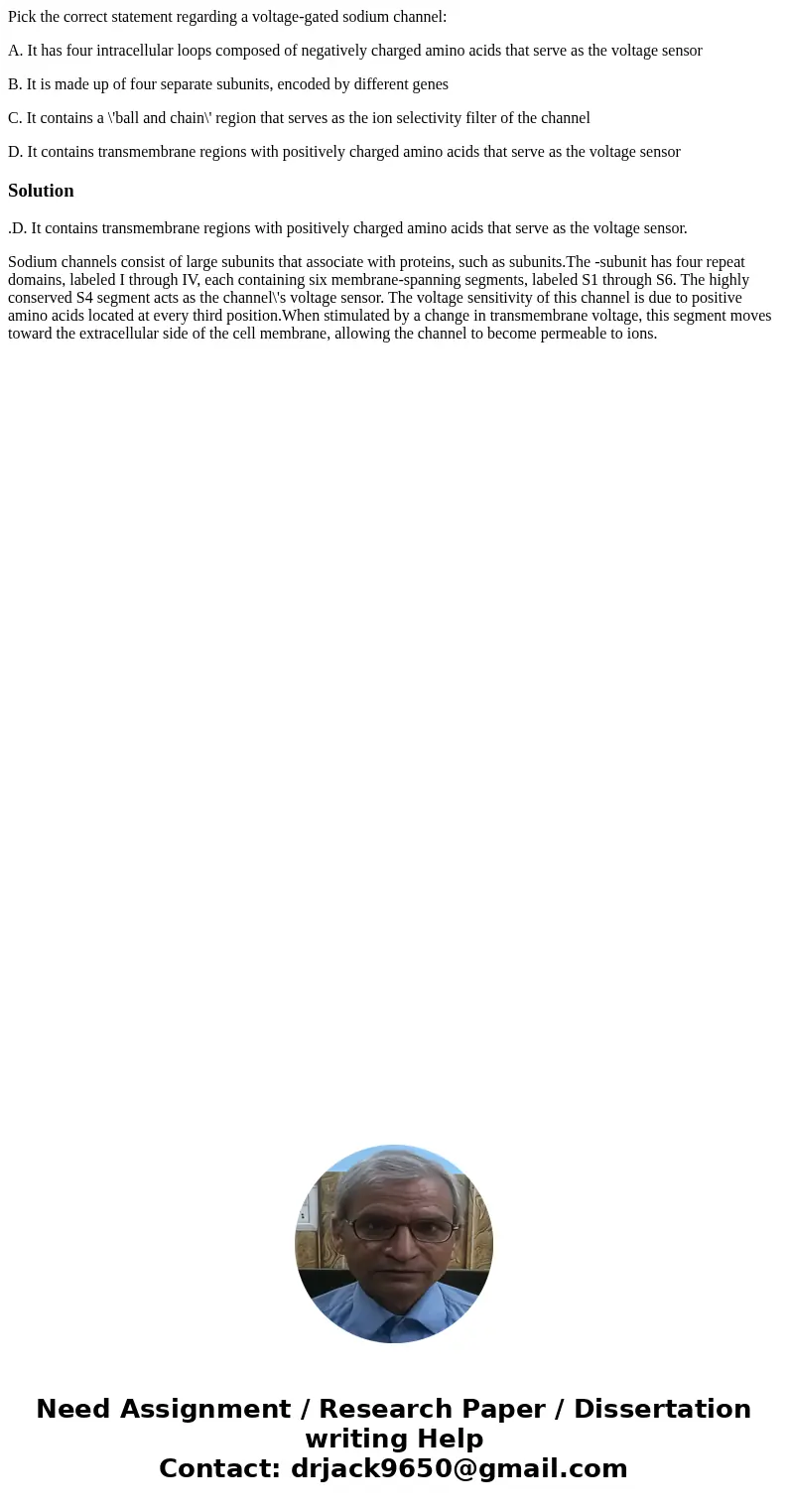 Pick the correct statement regarding a voltage-gated sodium channel: A. It has four intracellular loops composed of negatively charged amino acids that serve as Pick the correct statement regarding a voltage-gated sodium channel: A. It has four intracellular loops composed of negatively charged amino acids that serve as