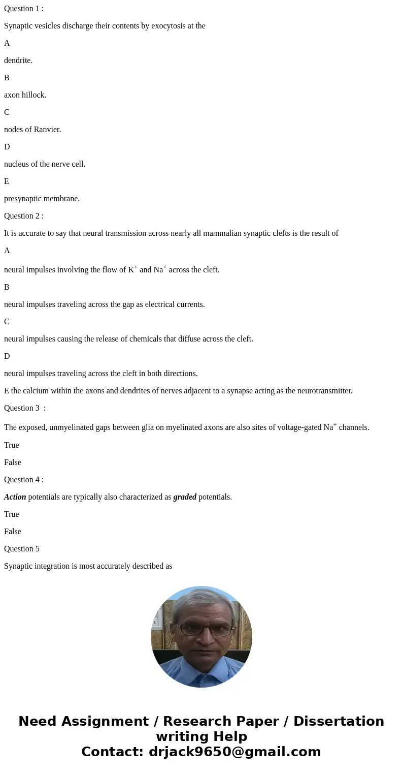 Question 1 : Synaptic vesicles discharge their contents by exocytosis at the A dendrite. B axon hillock. C nodes of Ranvier. D nucleus of the nerve cell. E pres Question 1 : Synaptic vesicles discharge their contents by exocytosis at the A dendrite. B axon hillock. C nodes of Ranvier. D nucleus of the nerve cell. E pres
