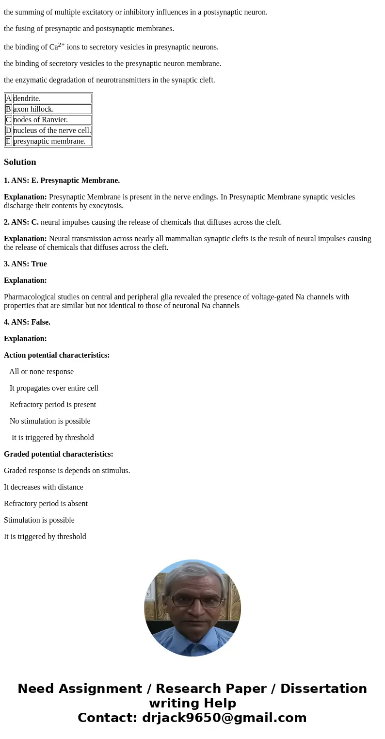 Question 1 : Synaptic vesicles discharge their contents by exocytosis at the A dendrite. B axon hillock. C nodes of Ranvier. D nucleus of the nerve cell. E pres Question 1 : Synaptic vesicles discharge their contents by exocytosis at the A dendrite. B axon hillock. C nodes of Ranvier. D nucleus of the nerve cell. E pres