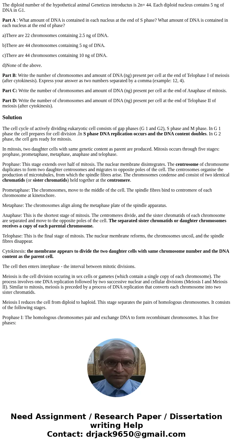 The diploid number of the hypothetical animal Geneticus introductus is 2n= 44. Each diploid nucleus contains 5 ng of DNA in G1. Part A : What amount of DNA is c The diploid number of the hypothetical animal Geneticus introductus is 2n= 44. Each diploid nucleus contains 5 ng of DNA in G1. Part A : What amount of DNA is c