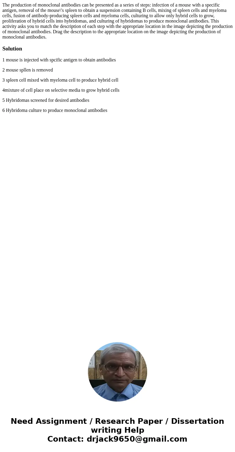 The production of monoclonal antibodies can be presented as a series of steps: infection of a mouse with a specific antigen, removal of the mouse\'s spleen to   The production of monoclonal antibodies can be presented as a series of steps: infection of a mouse with a specific antigen, removal of the mouse\'s spleen to