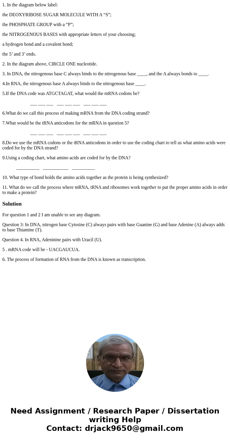 1. In the diagram below label: the DEOXYRIBOSE SUGAR MOLECULE WITH A “S”; the PHOSPHATE GROUP with a “P”; the NITROGENOUS BASES with appropriate letters of your 1. In the diagram below label: the DEOXYRIBOSE SUGAR MOLECULE WITH A “S”; the PHOSPHATE GROUP with a “P”; the NITROGENOUS BASES with appropriate letters of your