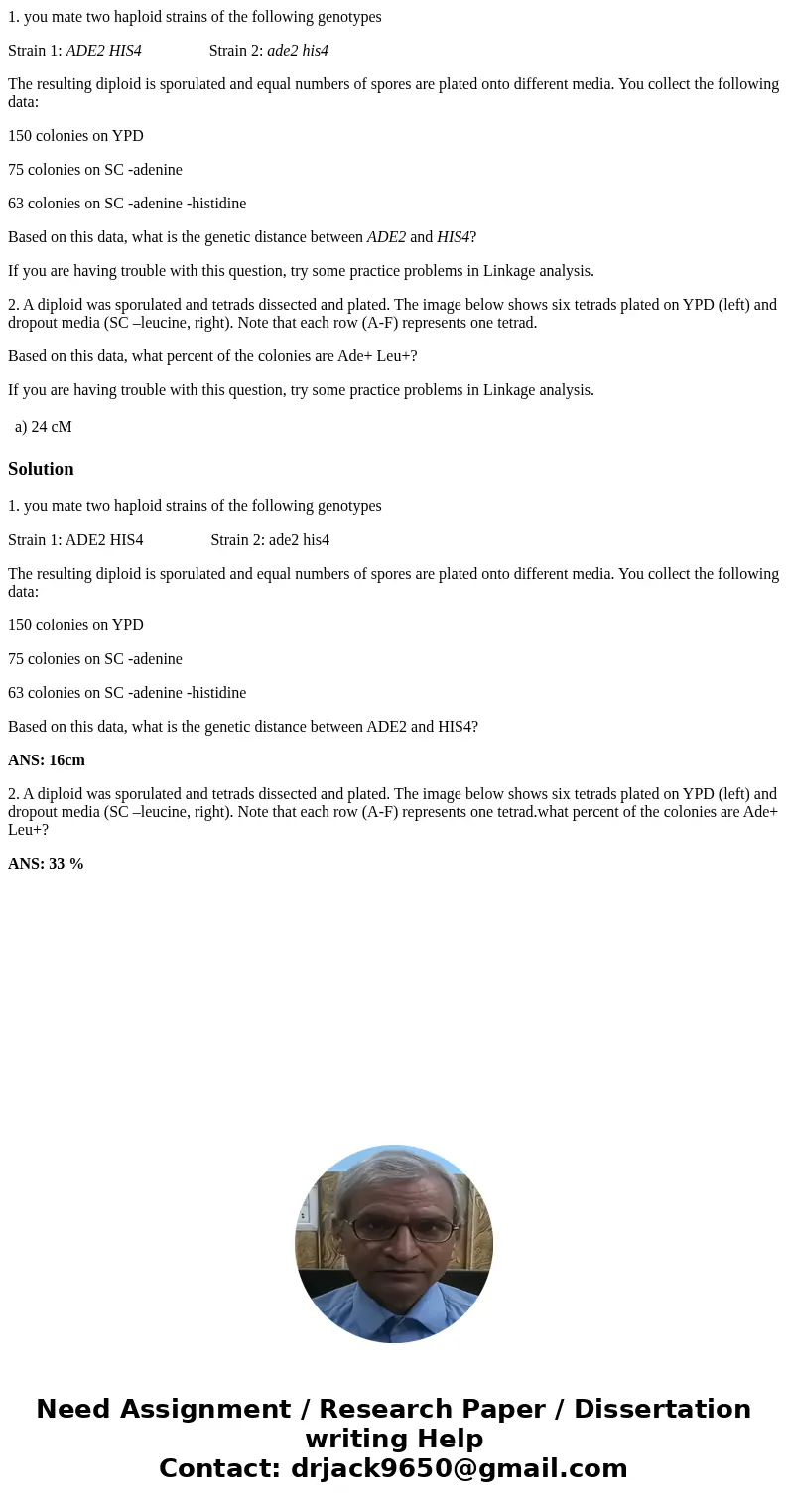 1. you mate two haploid strains of the following genotypes Strain 1: ADE2 HIS4 Strain 2: ade2 his4 The resulting diploid is sporulated and equal numbers of spor