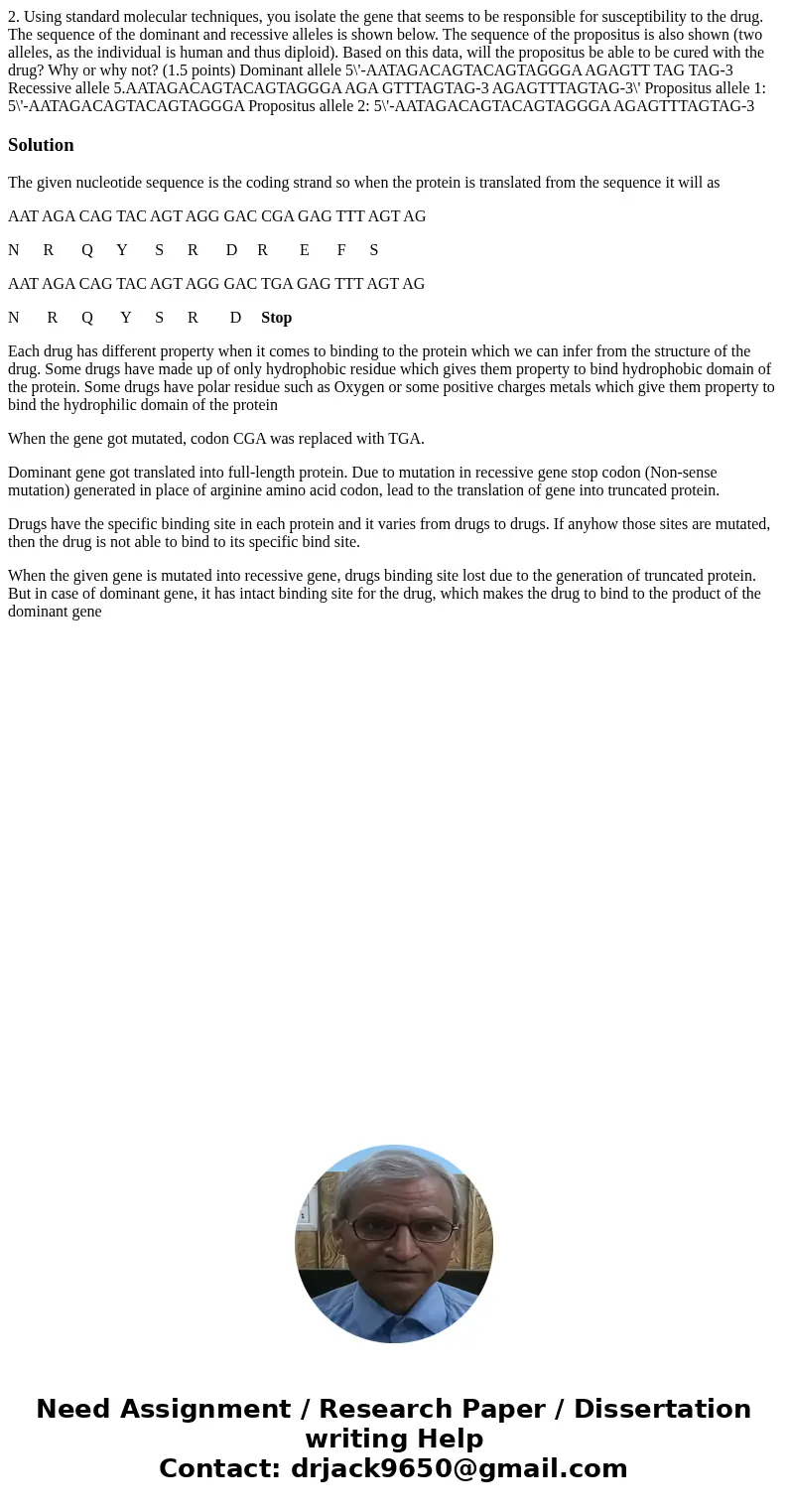 2. Using standard molecular techniques, you isolate the gene that seems to be responsible for susceptibility to the drug. The sequence of the dominant and rece  2. Using standard molecular techniques, you isolate the gene that seems to be responsible for susceptibility to the drug. The sequence of the dominant and rece