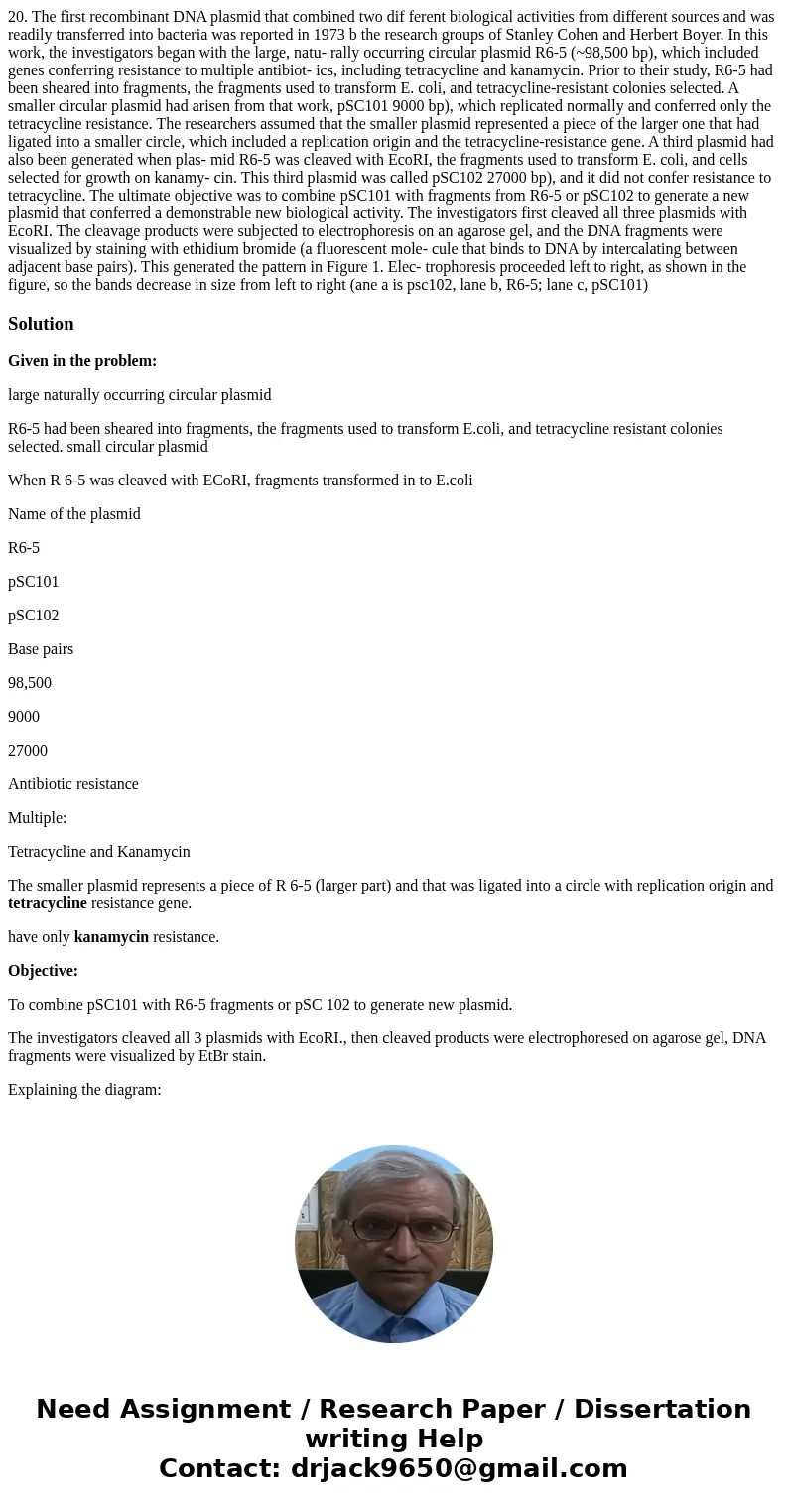 20. The first recombinant DNA plasmid that combined two dif ferent biological activities from different sources and was readily transferred into bacteria was r  20. The first recombinant DNA plasmid that combined two dif ferent biological activities from different sources and was readily transferred into bacteria was r