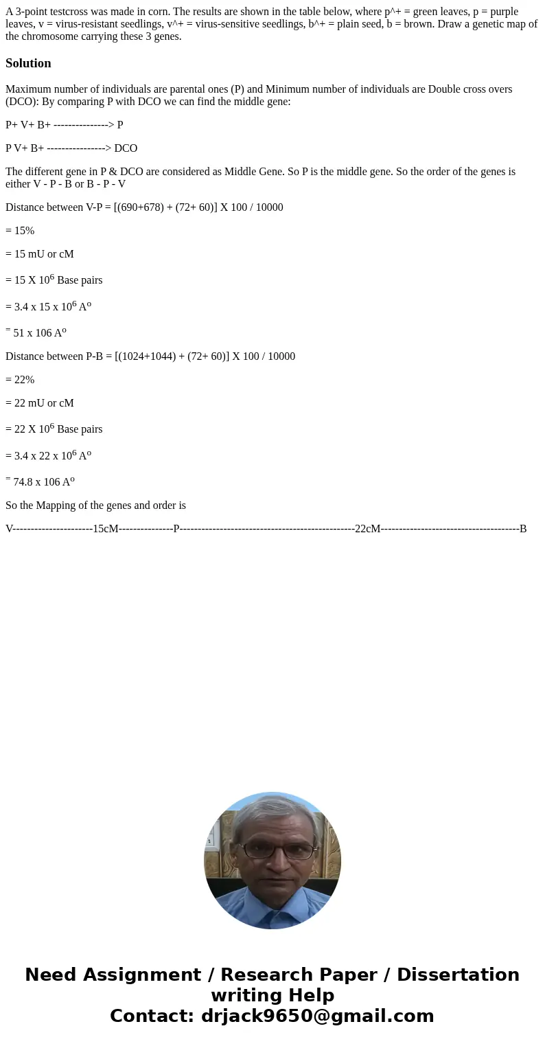  A 3-point testcross was made in corn. The results are shown in the table below, where p^+ = green leaves, p = purple leaves, v = virus-resistant seedlings, v^+
