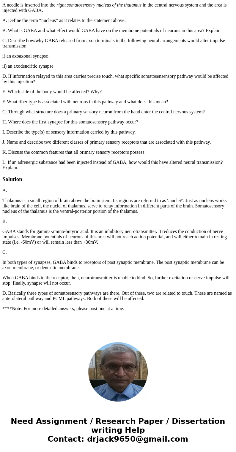 A needle is inserted into the right somatosensory nucleus of the thalamus in the central nervous system and the area is injected with GABA. A. Define the term “
