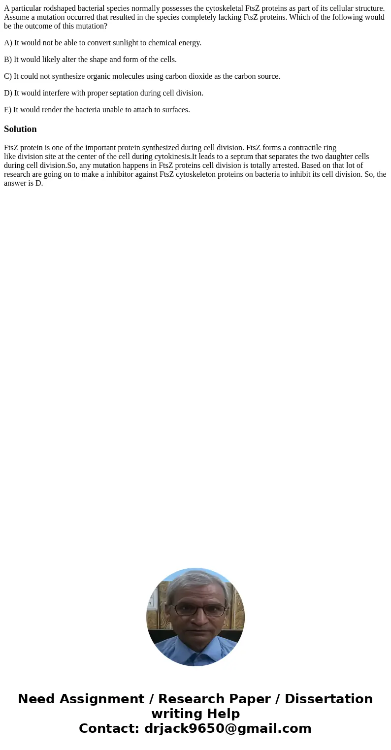 A particular rodshaped bacterial species normally possesses the cytoskeletal FtsZ proteins as part of its cellular structure. Assume a mutation occurred that re