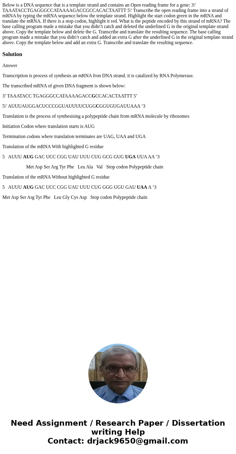Below is a DNA sequence that is a template strand and contains an Open reading frame for a gene: 3\' TAAATACCTGAGGGCCATAAAAGACCGCCACACTAATTT 5\' Transcribe the  Below is a DNA sequence that is a template strand and contains an Open reading frame for a gene: 3\' TAAATACCTGAGGGCCATAAAAGACCGCCACACTAATTT 5\' Transcribe the