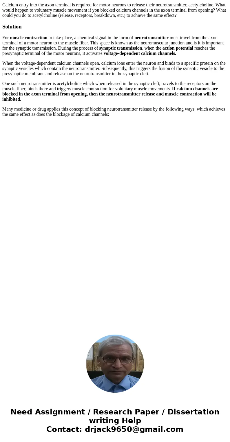 Calcium entry into the axon terminal is required for motor neurons to release their neurotransmitter, acetylcholine. What would happen to voluntary muscle movem