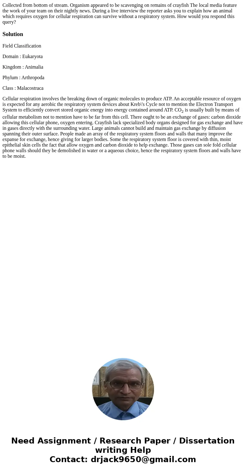  Collected from bottom of stream. Organism appeared to be scavenging on remains of crayfish The local media feature the work of your team on their nightly news.