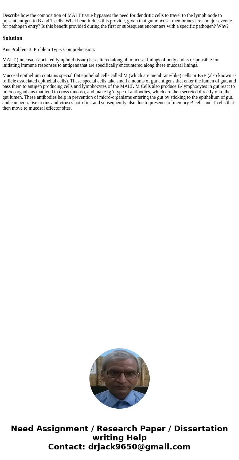 Describe how the composition of MALT tissue bypasses the need for dendritic cells to travel to the lymph node to present antigen to B and T cells. What benefit  Describe how the composition of MALT tissue bypasses the need for dendritic cells to travel to the lymph node to present antigen to B and T cells. What benefit