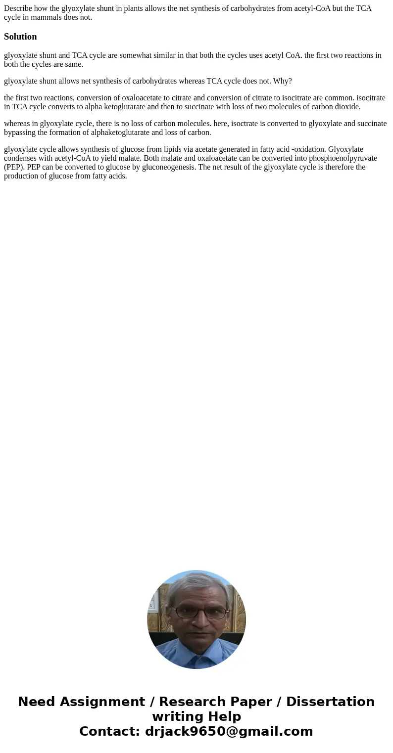 Describe how the glyoxylate shunt in plants allows the net synthesis of carbohydrates from acetyl-CoA but the TCA cycle in mammals does not.Solutionglyoxylate   Describe how the glyoxylate shunt in plants allows the net synthesis of carbohydrates from acetyl-CoA but the TCA cycle in mammals does not.Solutionglyoxylate