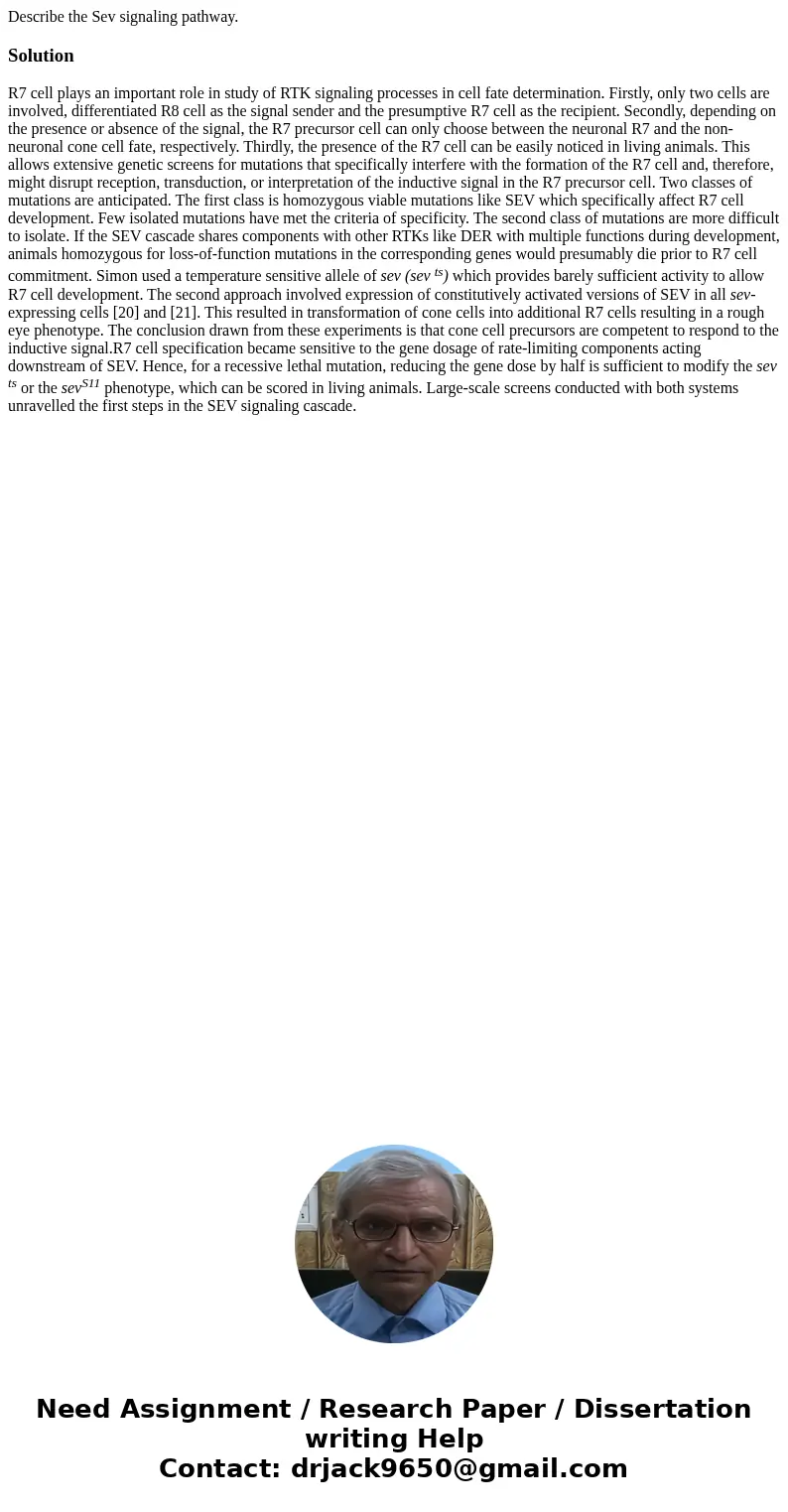 Describe the Sev signaling pathway.SolutionR7 cell plays an important role in study of RTK signaling processes in cell fate determination. Firstly, only two cel Describe the Sev signaling pathway.SolutionR7 cell plays an important role in study of RTK signaling processes in cell fate determination. Firstly, only two cel