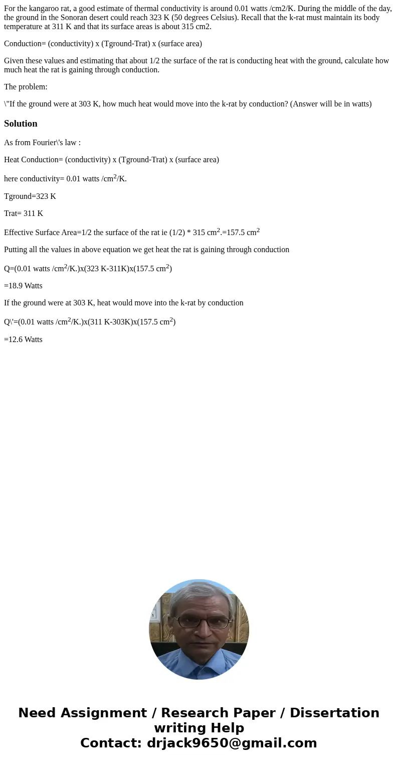 For the kangaroo rat, a good estimate of thermal conductivity is around 0.01 watts /cm2/K. During the middle of the day, the ground in the Sonoran desert could 