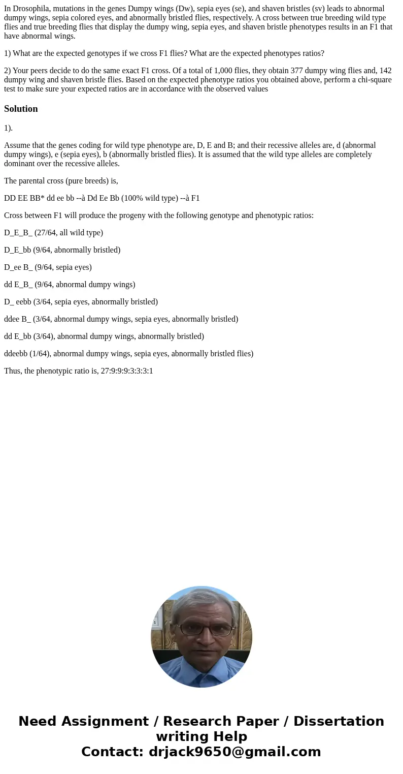 In Drosophila, mutations in the genes Dumpy wings (Dw), sepia eyes (se), and shaven bristles (sv) leads to abnormal dumpy wings, sepia colored eyes, and abnorma In Drosophila, mutations in the genes Dumpy wings (Dw), sepia eyes (se), and shaven bristles (sv) leads to abnormal dumpy wings, sepia colored eyes, and abnorma