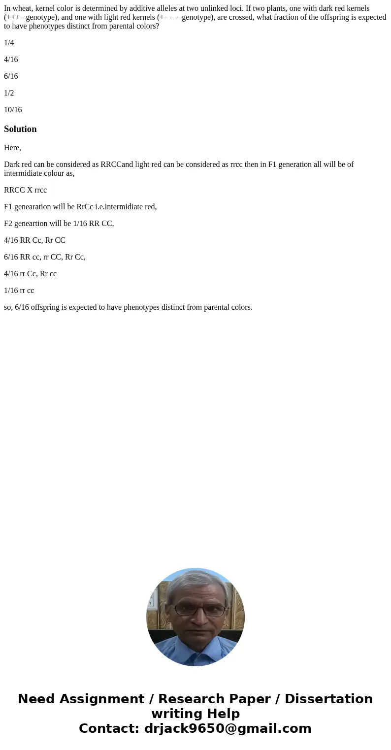 In wheat, kernel color is determined by additive alleles at two unlinked loci. If two plants, one with dark red kernels (+++– genotype), and one with light red 
