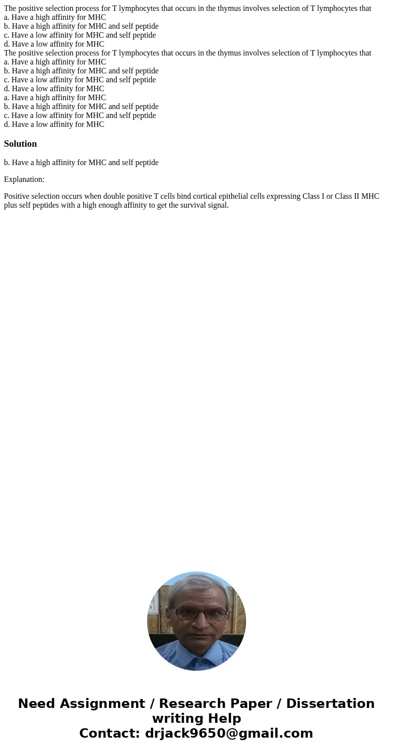 The positive selection process for T lymphocytes that occurs in the thymus involves selection of T lymphocytes that a. Have a high affinity for MHC b. Have a hi The positive selection process for T lymphocytes that occurs in the thymus involves selection of T lymphocytes that a. Have a high affinity for MHC b. Have a hi