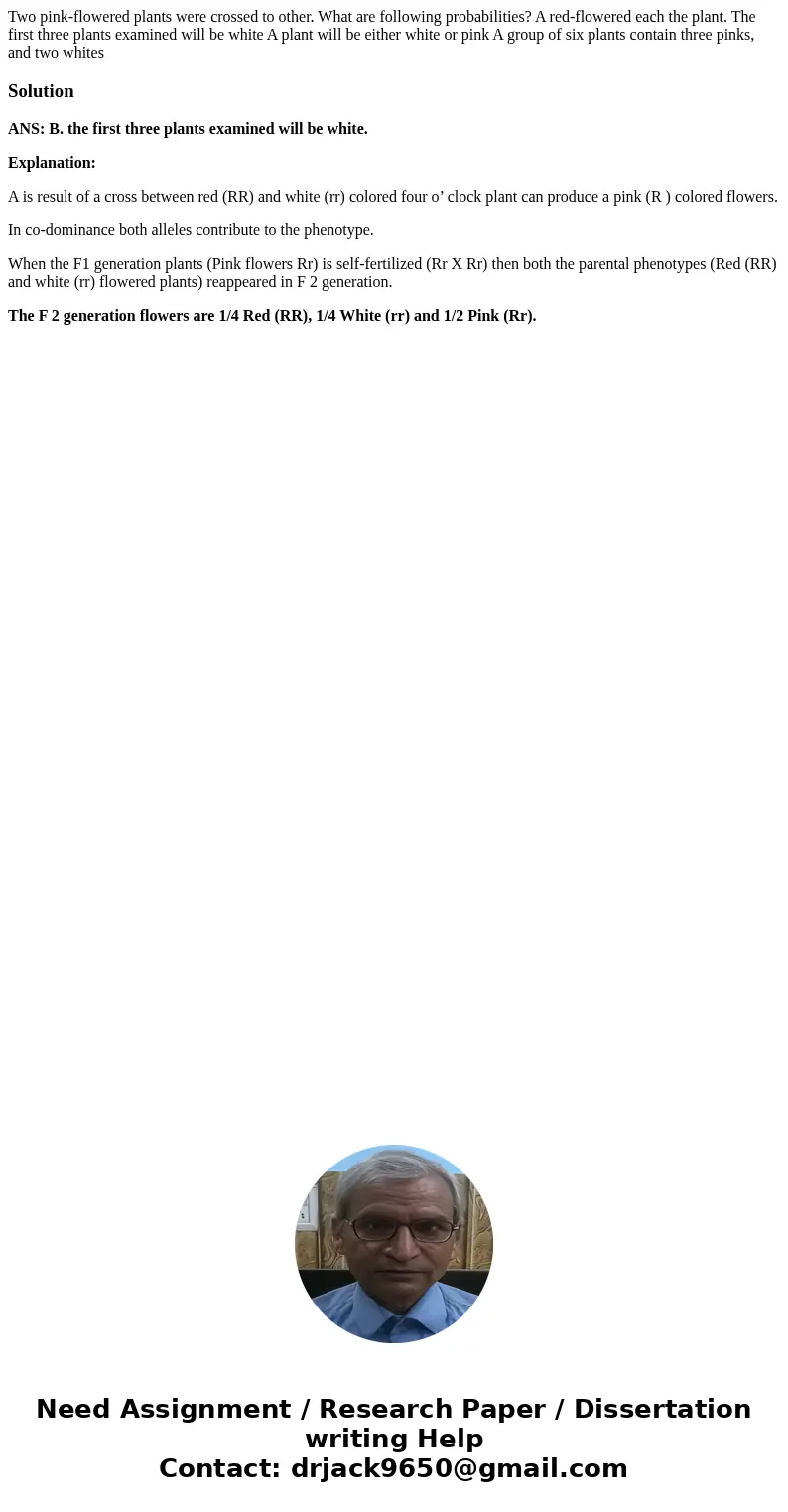 Two pink-flowered plants were crossed to other. What are following probabilities? A red-flowered each the plant. The first three plants examined will be white   Two pink-flowered plants were crossed to other. What are following probabilities? A red-flowered each the plant. The first three plants examined will be white