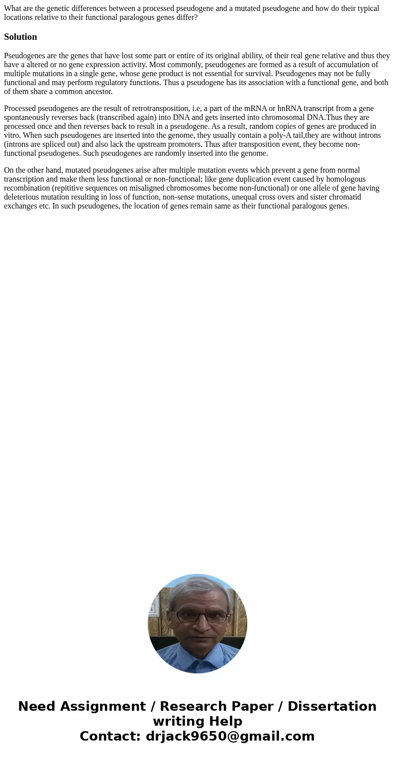 What are the genetic differences between a processed pseudogene and a mutated pseudogene and how do their typical locations relative to their functional paralog What are the genetic differences between a processed pseudogene and a mutated pseudogene and how do their typical locations relative to their functional paralog