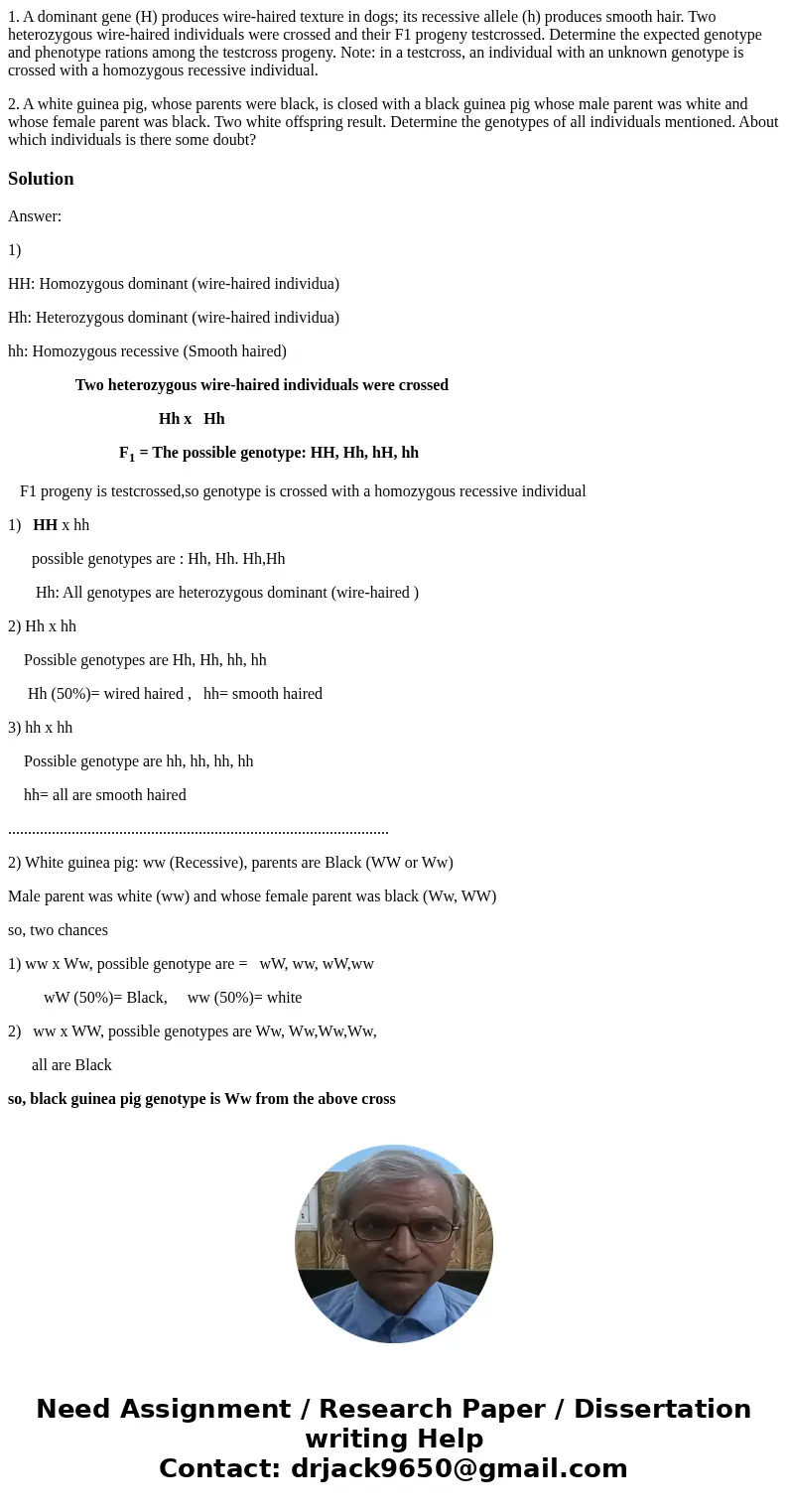 1. A dominant gene (H) produces wire-haired texture in dogs; its recessive allele (h) produces smooth hair. Two heterozygous wire-haired individuals were crosse