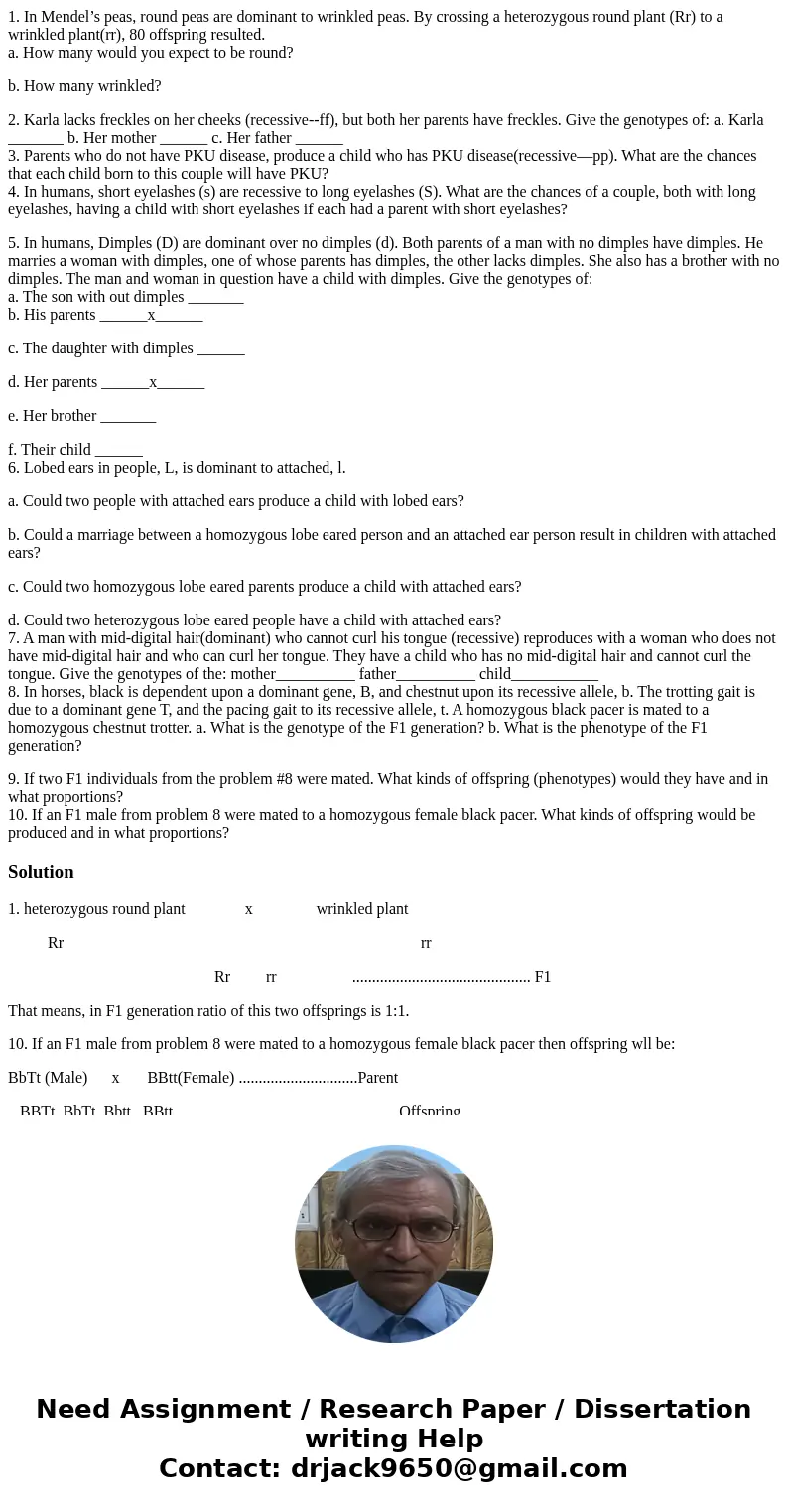 1. In Mendel’s peas, round peas are dominant to wrinkled peas. By crossing a heterozygous round plant (Rr) to a wrinkled plant(rr), 80 offspring resulted. a. Ho 1. In Mendel’s peas, round peas are dominant to wrinkled peas. By crossing a heterozygous round plant (Rr) to a wrinkled plant(rr), 80 offspring resulted. a. Ho